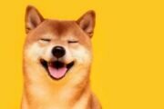 Инвесторы в Shiba INU создали две петиции с просьбой добавить токен на Robinhood и Coinbase