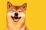 Инвесторы в Shiba INU создали две петиции с просьбой добавить токен на Robinhood и Coinbase